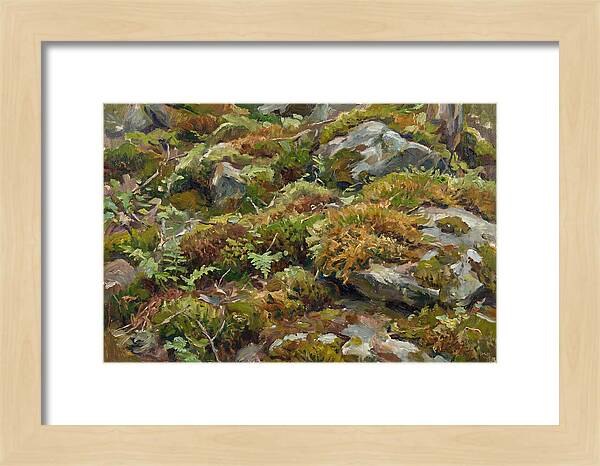 Mossy Forest Floor