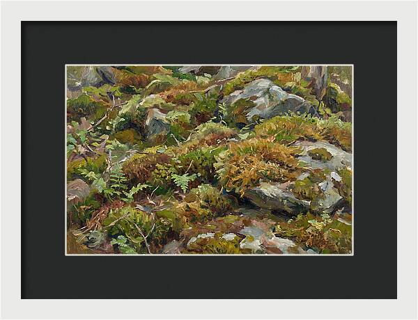 Mossy Forest Floor
