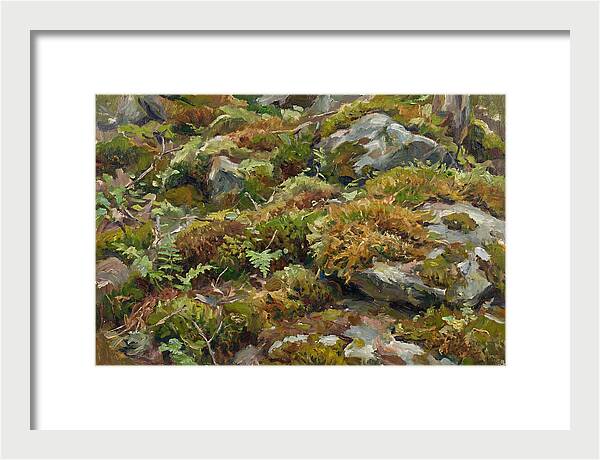 Mossy Forest Floor