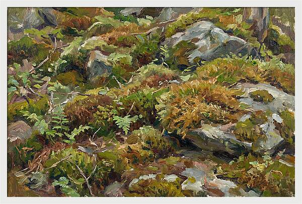Mossy Forest Floor