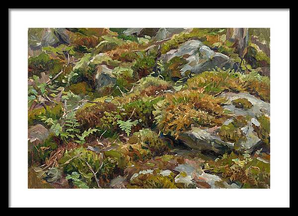 Mossy Forest Floor