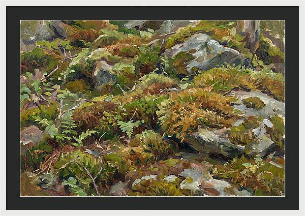 Mossy Forest Floor