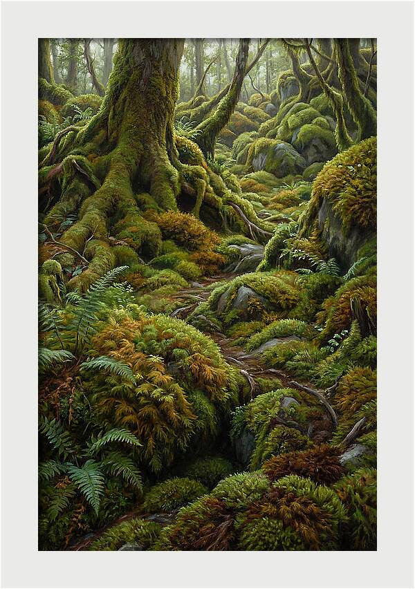 Mossy Forest Pathway
