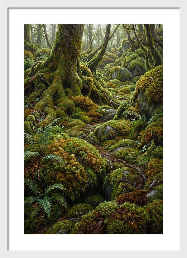 Mossy Forest Pathway