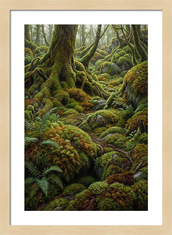 Mossy Forest Pathway