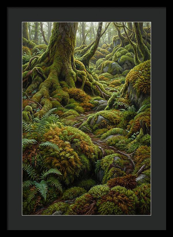 Mossy Forest Pathway
