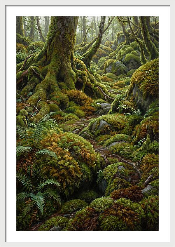 Mossy Forest Pathway