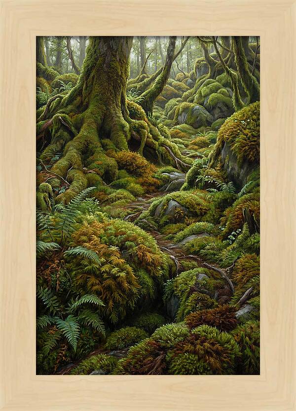 Mossy Forest Pathway