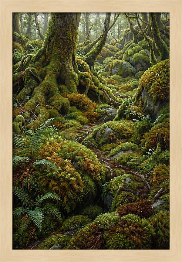 Mossy Forest Pathway