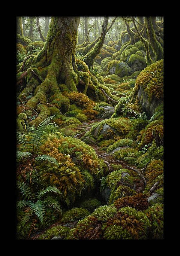 Mossy Forest Pathway