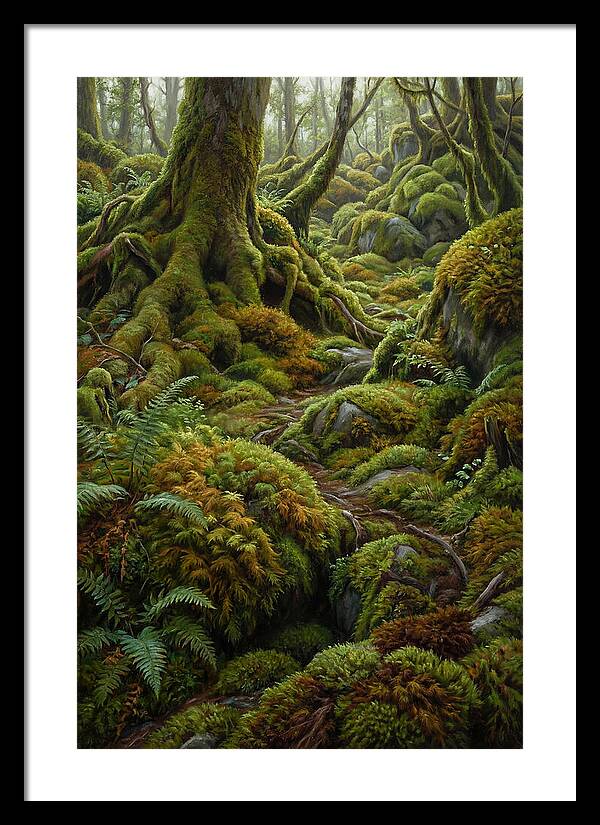 Mossy Forest Pathway