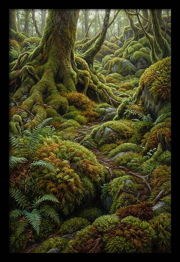 Mossy Forest Pathway