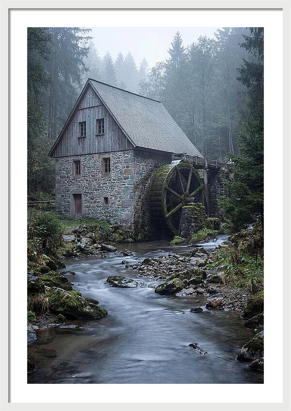 Mossy Water Mill Serenity