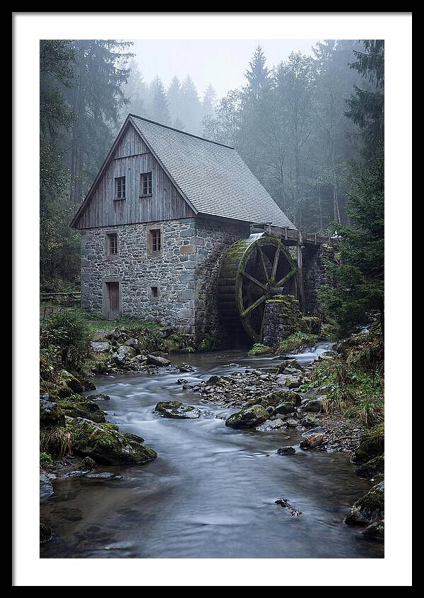 Mossy Water Mill Serenity