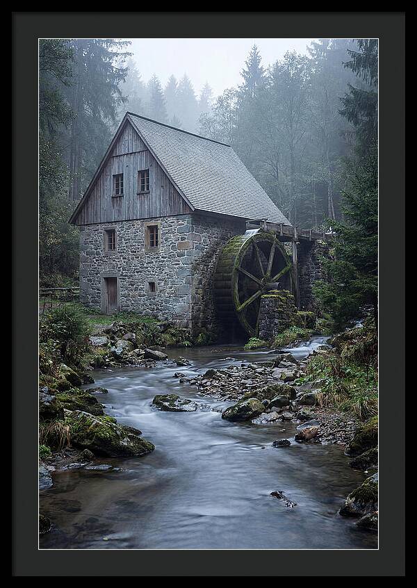 Mossy Water Mill Serenity