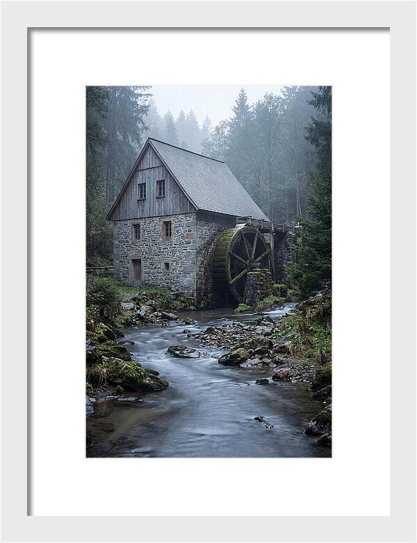 Mossy Water Mill Serenity