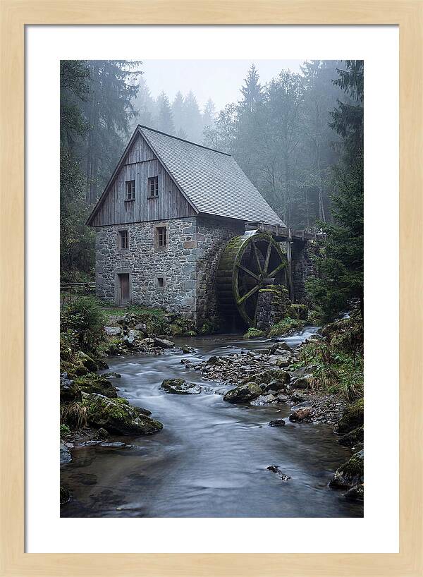 Mossy Water Mill Serenity