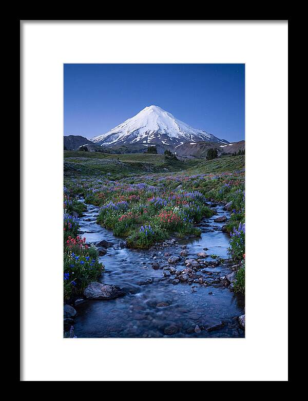 Mount Baker In Bloom