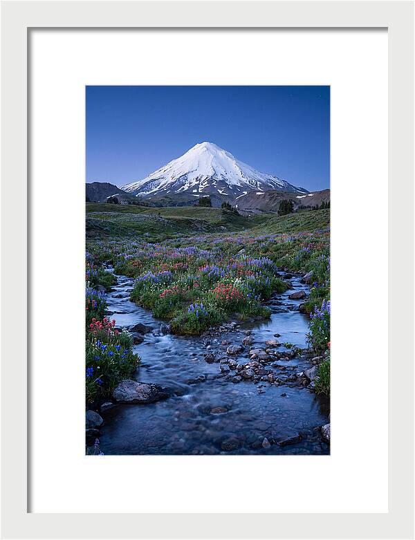 Mount Baker In Bloom