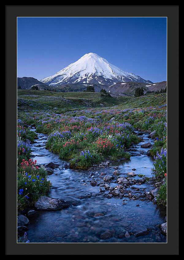 Mount Baker In Bloom