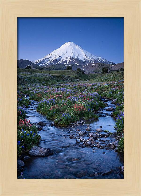 Mount Baker In Bloom