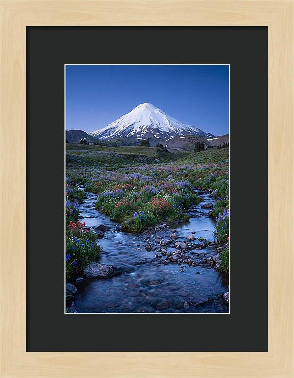 Mount Baker In Bloom