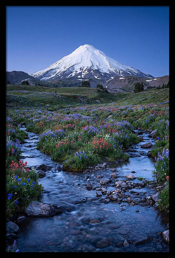Mount Baker In Bloom