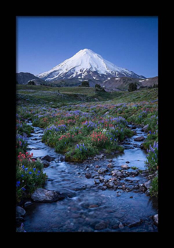 Mount Baker In Bloom