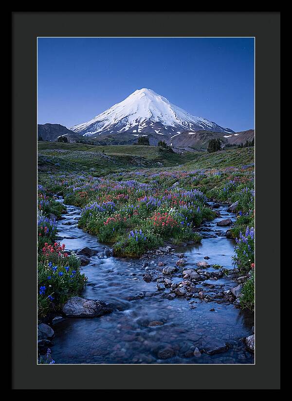 Mount Baker In Bloom