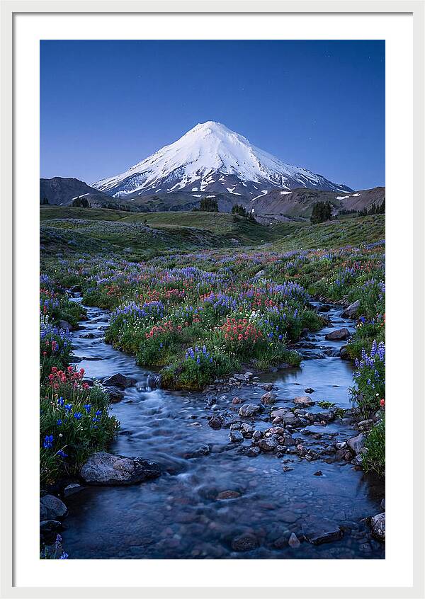 Mount Baker In Bloom