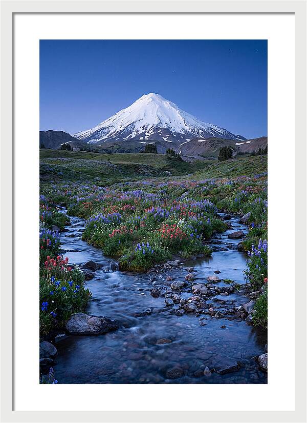 Mount Baker In Bloom