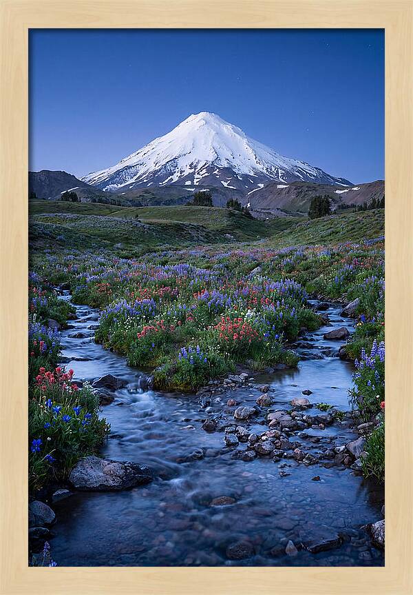 Mount Baker In Bloom