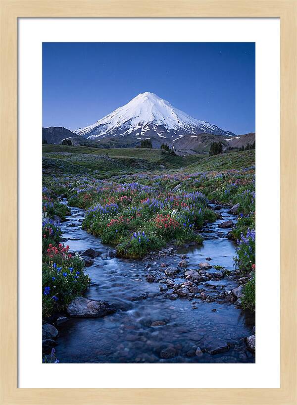 Mount Baker In Bloom