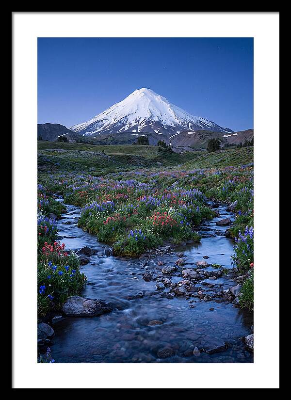 Mount Baker In Bloom