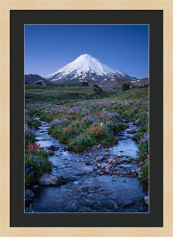 Mount Baker In Bloom