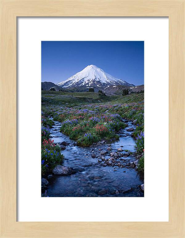 Mount Baker In Bloom