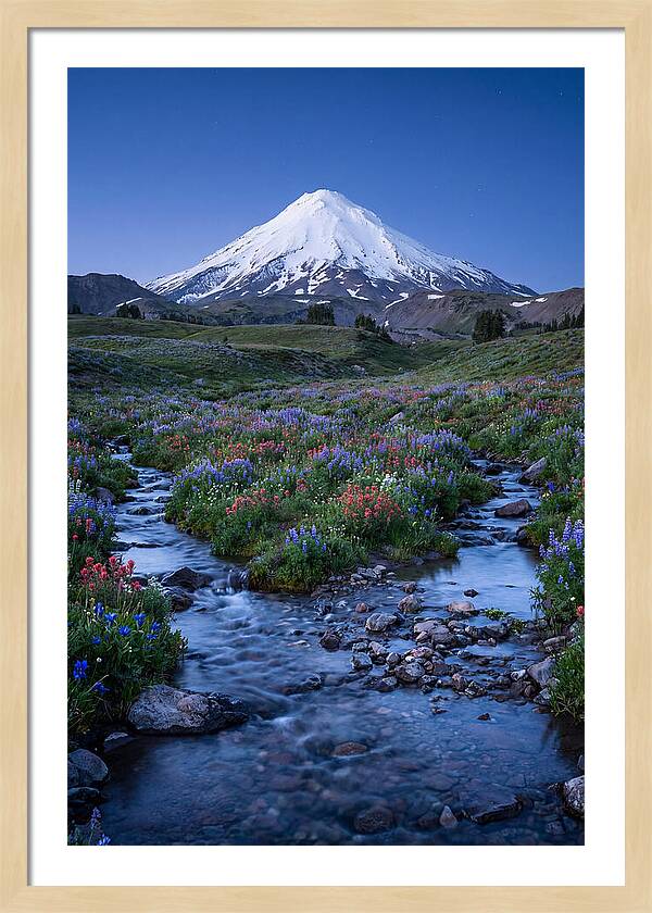Mount Baker In Bloom