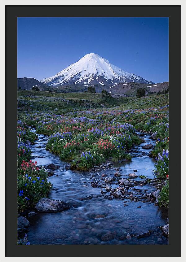 Mount Baker In Bloom