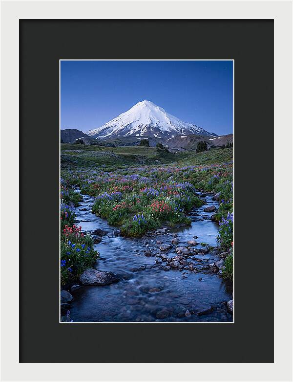 Mount Baker In Bloom