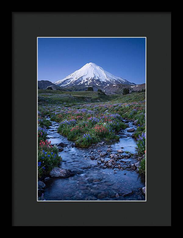 Mount Baker In Bloom
