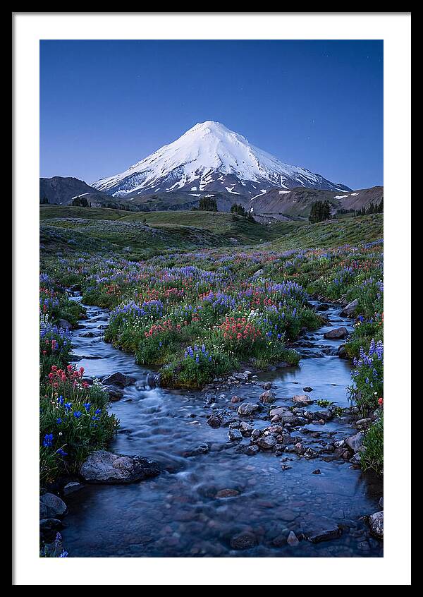 Mount Baker In Bloom