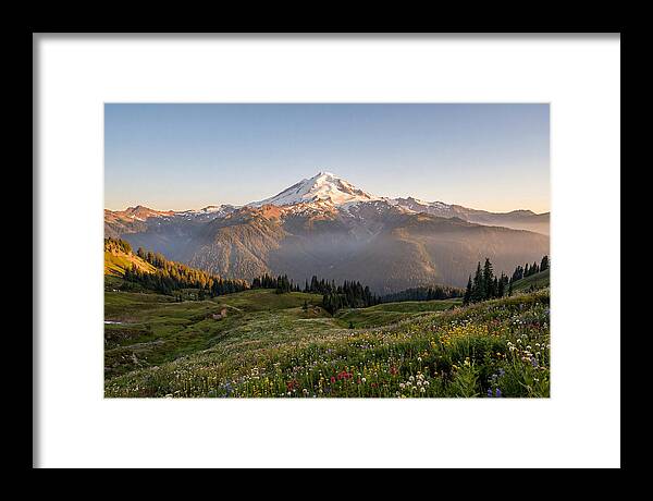 Mount Baker Majestic Sunrise Over Meadows