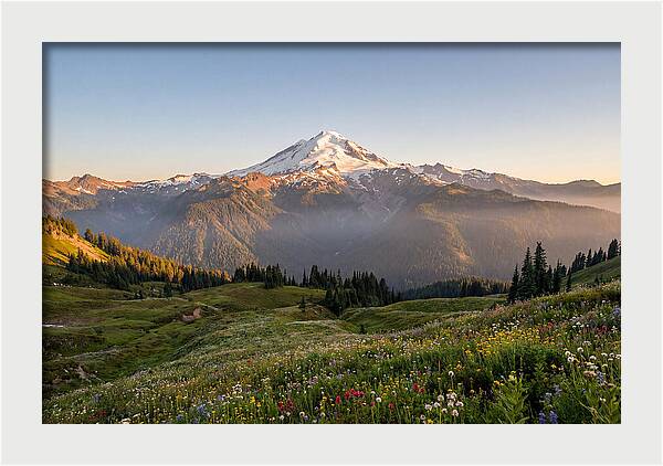 Mount Baker Majestic Sunrise Over Meadows