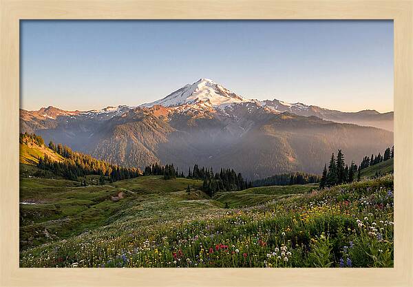Mount Baker Majestic Sunrise Over Meadows