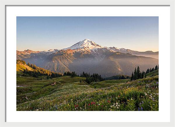 Mount Baker Majestic Sunrise Over Meadows