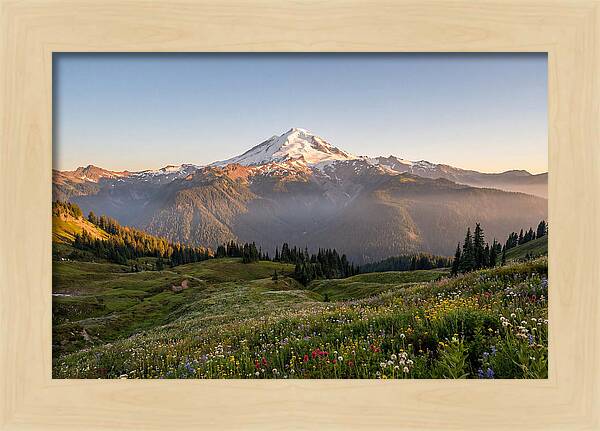 Mount Baker Majestic Sunrise Over Meadows