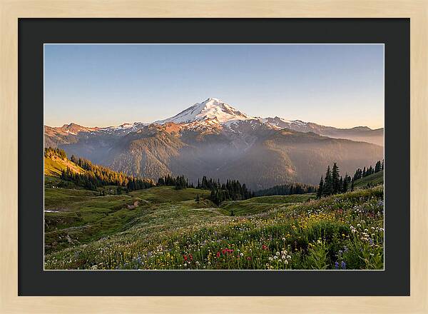 Mount Baker Majestic Sunrise Over Meadows