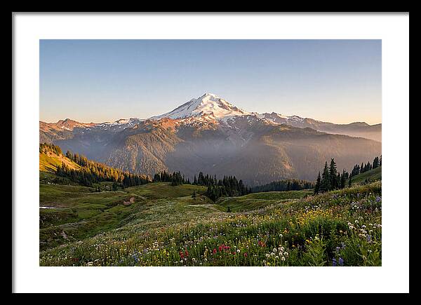 Mount Baker Majestic Sunrise Over Meadows