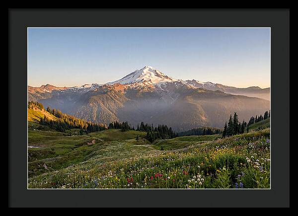 Mount Baker Majestic Sunrise Over Meadows