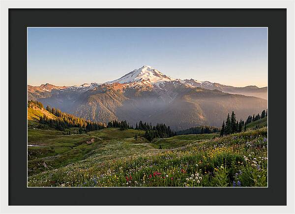Mount Baker Majestic Sunrise Over Meadows